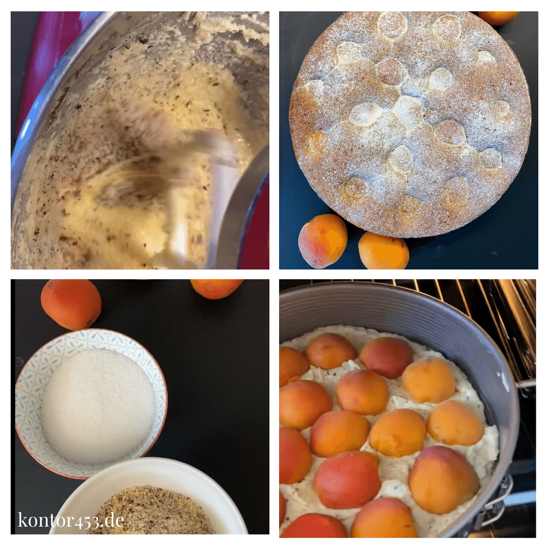 Aprikose trifft Nuss-Kuchen - Rezeptefundus Aprikose trifft Nuss-Kuchen - Rezeptefundus