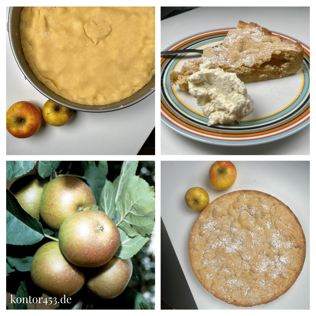 Gedeckter Apfelkuchen nach Omas Rezept - Rezeptefundus